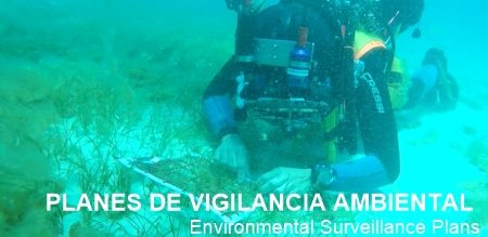 planes-de-vigilancia-ambiental
